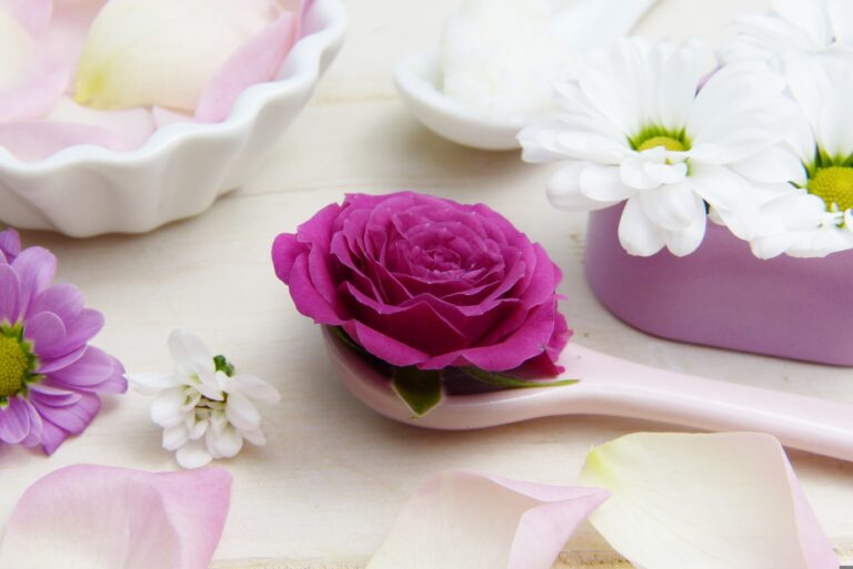 rose-3141794